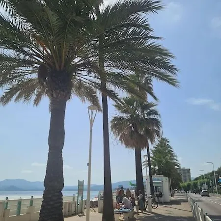 Apartment Amazing 1 Min Beach Walkin Festival Palace 5 Min